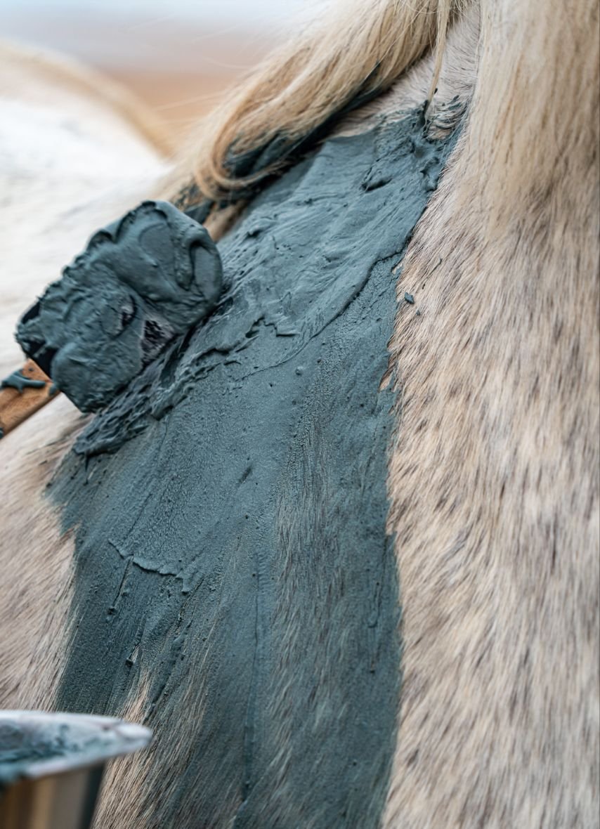 Thérapie manuelle soins aux algues cheval