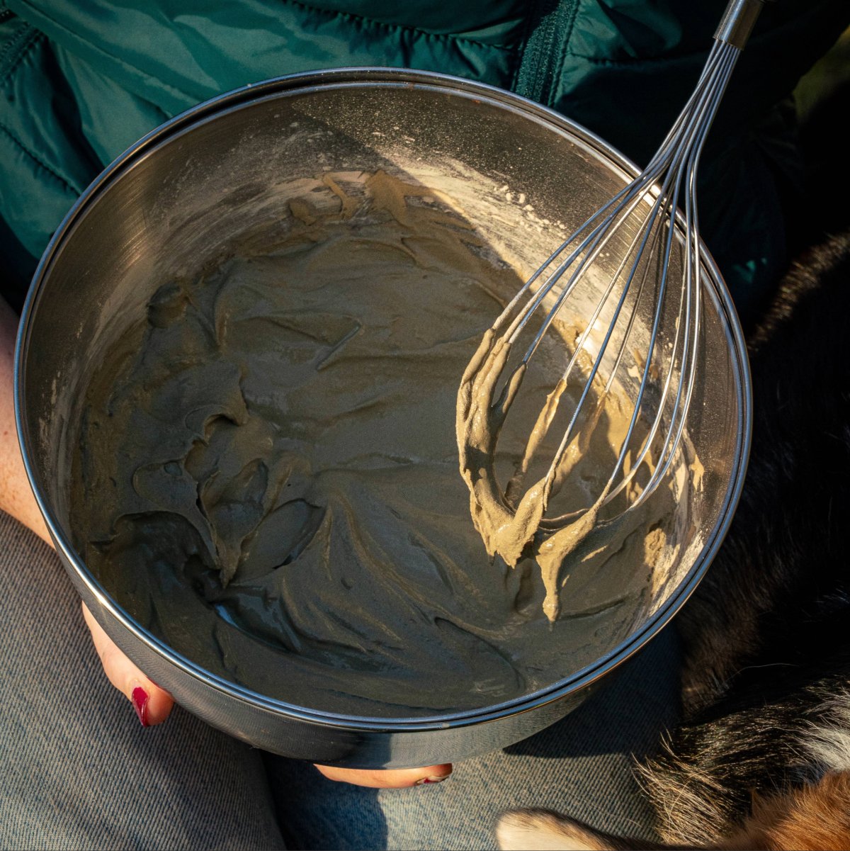 Application Cani'Drain enveloppement détoxifiant sur chien