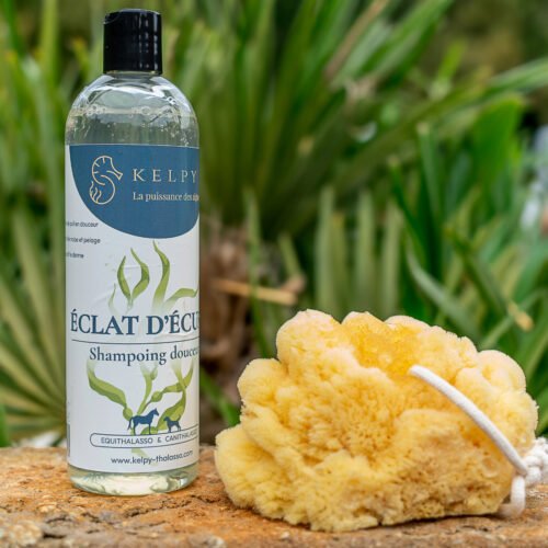 Shampoing Éclat d'Écume aux algues marines pour brillance le pelage de votre animal