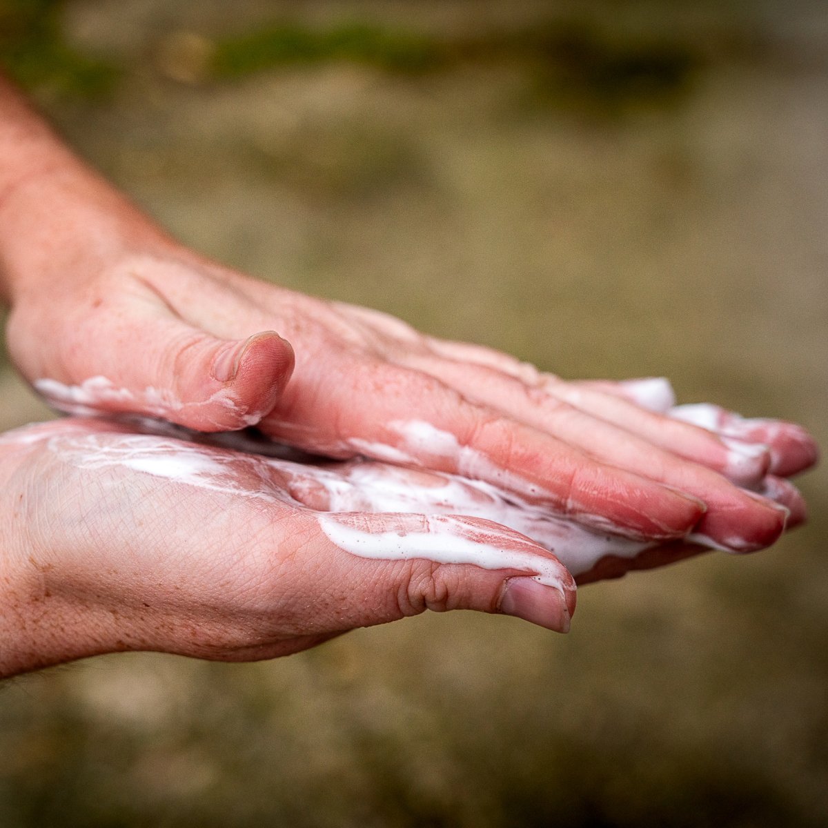 Shampoing Éclat d'Écume aux algues marines pour brillance le pelage de votre animal