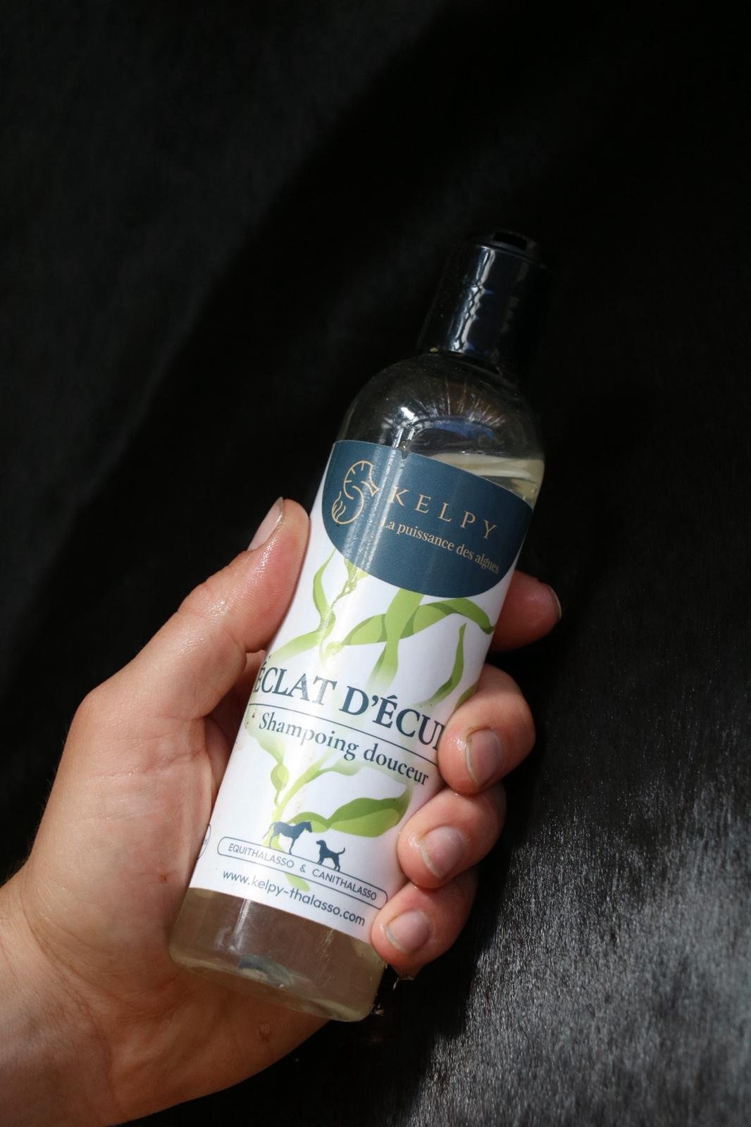 Shampoing Éclat d'Écume - Shampoing douceur aux algues marines pour animaux – Image 5